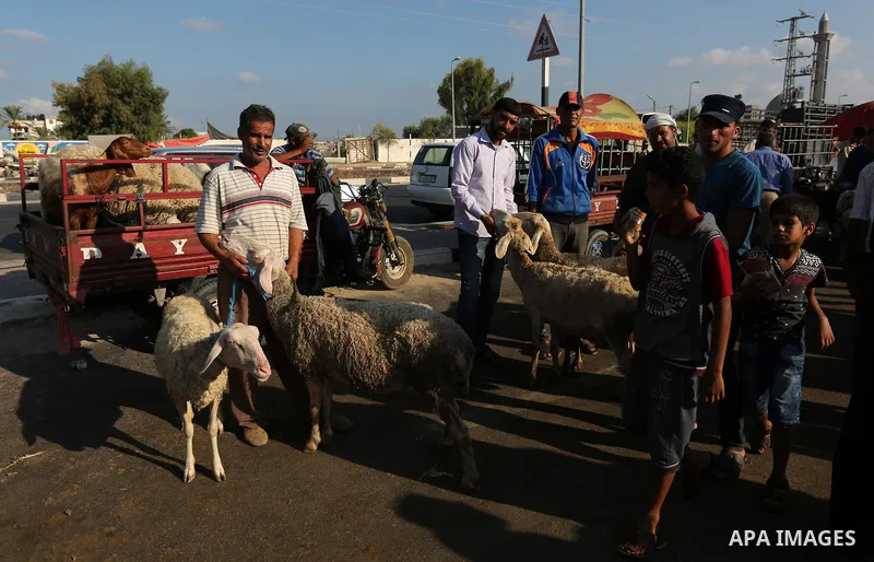 Palestinians gather at a live stock market, ahead of Eid al-Adha in Deir al-Balah, in the center of the Gaza Strip on August 22, 2017. Eid al-Adha (the Festival of Sacrifice) is celebrated throughout the Muslim world as...