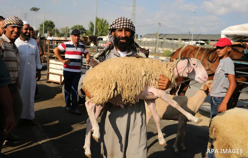 Palestinians gather at a live stock market, ahead of Eid al-Adha in Deir al-Balah, in the center of the Gaza Strip on August 22, 2017. Eid al-Adha (the Festival of Sacrifice) is celebrated throughout the Muslim world as...