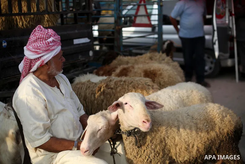Palestinians gather at a live stock market, ahead of Eid al-Adha, in Gaza city on August 25, 2017. Eid al-Adha (the Festival of Sacrifice) is celebrated throughout the Muslim world as a commemoration of Abraham's willing...