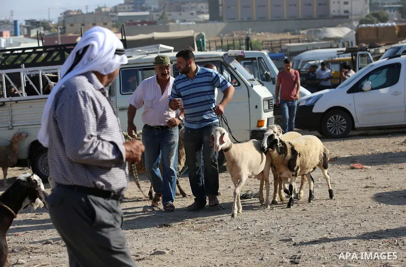 Palestinians gather at a live stock market, ahead of Eid al-Adha, in the West Bank city of Nablus, on Aug. 28, 2017. Eid al-Adha (the Festival of Sacrifice) is celebrated throughout the Muslim world as a commemoration of...