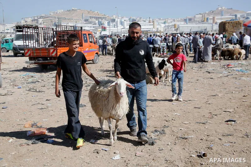 Palestinians gather at a live stock market, ahead of Eid al-Adha, in the West Bank city of Hebron, on August 29, 2017. Eid al-Adha (the Festival of Sacrifice) is celebrated throughout the Muslim world as a commemoration...