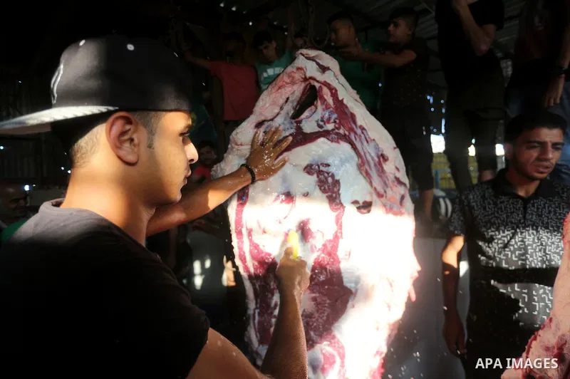 Palestinian Muslims sacrifice animals on the first day of of Eid al-Adha or the feast of sacrifice, in Gaza city, on September 1, 2017. Muslims around the world are celebrating Eid al-Adha, the "Feast of Sacrifice", whic...
