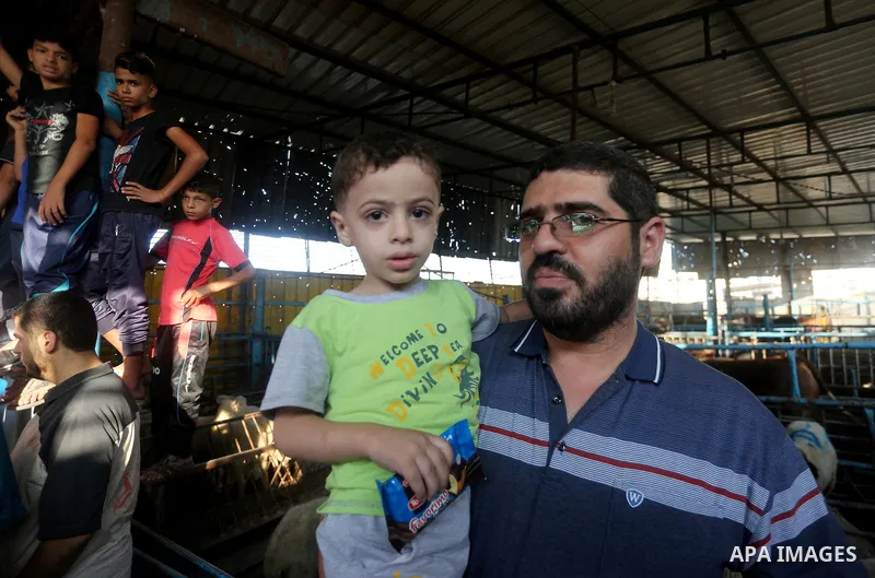 Palestinian Muslims sacrifice animals on the first day of of Eid al-Adha or the feast of sacrifice, in Gaza city, on September 1, 2017. Muslims around the world are celebrating Eid al-Adha, the "Feast of Sacrifice", whic...