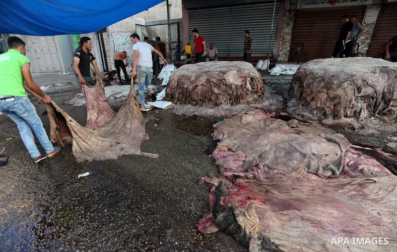Palestinian leather tannery workers, salt the hides of sacrificial animals before drying them, during third day of Eid al-Adha or the feast of sacrifice, in a workshop in Gaza city on September 3, 2017. Muslims around th...