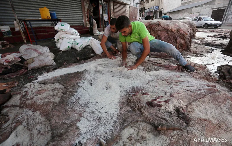 Palestinian leather tannery workers, salt the hides of sacrificial animals before drying them, during third day of Eid al-Adha or the feast of sacrifice, in a workshop in Gaza city on September 3, 2017. Muslims around th...