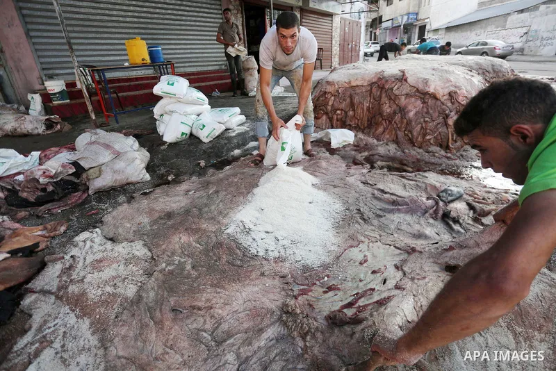 Palestinian leather tannery workers, salt the hides of sacrificial animals before drying them, during third day of Eid al-Adha or the feast of sacrifice, in a workshop in Gaza city on September 3, 2017. Muslims around th...