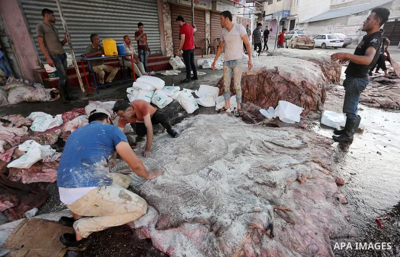 Palestinian leather tannery workers, salt the hides of sacrificial animals before drying them, during third day of Eid al-Adha or the feast of sacrifice, in a workshop in Gaza city on September 3, 2017. Muslims around th...