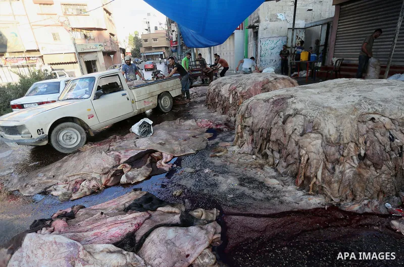 Palestinian leather tannery workers, salt the hides of sacrificial animals before drying them, during third day of Eid al-Adha or the feast of sacrifice, in a workshop in Gaza city on September 3, 2017. Muslims around th...