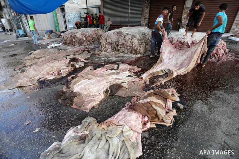 Palestinian leather tannery workers, salt the hides of sacrificial animals before drying them, during third day of Eid al-Adha or the feast of sacrifice, in a workshop in Gaza city on September 3, 2017. Muslims around th...