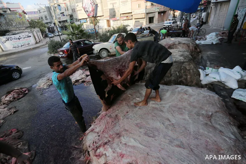 Palestinian leather tannery workers, salt the hides of sacrificial animals before drying them, during third day of Eid al-Adha or the feast of sacrifice, in a workshop in Gaza city on September 3, 2017. Muslims around th...