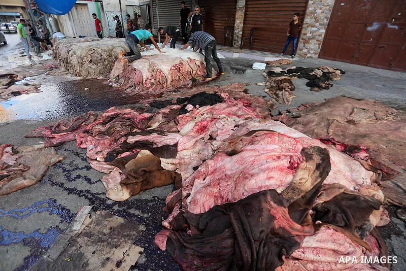 Palestinian leather tannery workers, salt the hides of sacrificial animals before drying them, during third day of Eid al-Adha or the feast of sacrifice, in a workshop in Gaza city on September 3, 2017. Muslims around th...