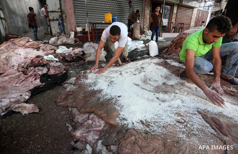 Palestinian leather tannery workers, salt the hides of sacrificial animals before drying them, during third day of Eid al-Adha or the feast of sacrifice, in a workshop in Gaza city on September 3, 2017. Muslims around th...