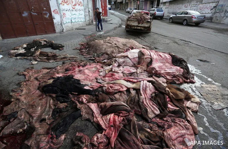 Palestinian leather tannery workers, salt the hides of sacrificial animals before drying them, during third day of Eid al-Adha or the feast of sacrifice, in a workshop in Gaza city on September 3, 2017. Muslims around th...