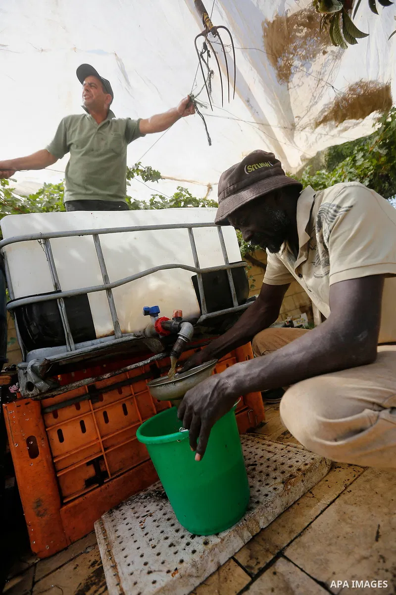 A Palestinian farmer prepares the grape juice at his field near the West Bank city of Hebron, Sept. 14, 2017. Hebron is famous for its quality grape production and its lush vineyards. Photo by Wisam Hashlamoun