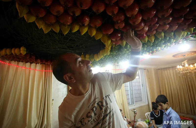 A member of the Samaritan sect decorates a traditional hut known as a sukkot with fruits and vegetables on Mount Gerizim, on the outskirts of the West Bank city of Nablus, October 2, 2017. A sukkot is a ritual hut used d...