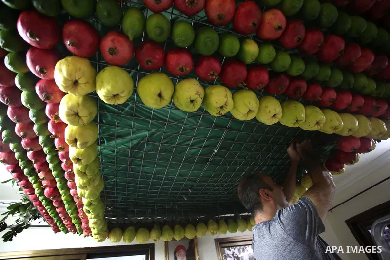 A member of the Samaritan sect decorates a traditional hut known as a sukkot with fruits and vegetables on Mount Gerizim, on the outskirts of the West Bank city of Nablus, October 2, 2017. A sukkot is a ritual hut used d...