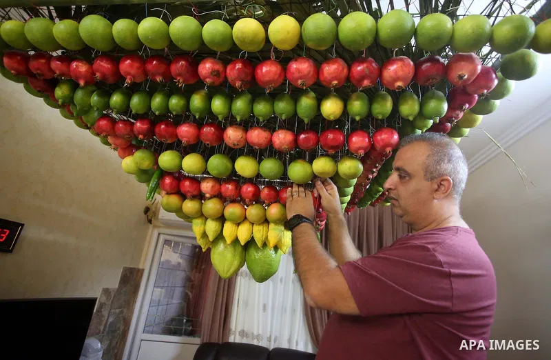 A member of the Samaritan sect decorates a traditional hut known as a sukkot with fruits and vegetables on Mount Gerizim, on the outskirts of the West Bank city of Nablus, October 2, 2017. A sukkot is a ritual hut used d...