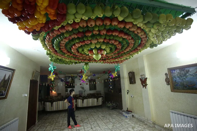 A member of the Samaritan sect decorates a traditional hut known as a sukkot with fruits and vegetables on Mount Gerizim, on the outskirts of the West Bank city of Nablus, October 2, 2017. A sukkot is a ritual hut used d...