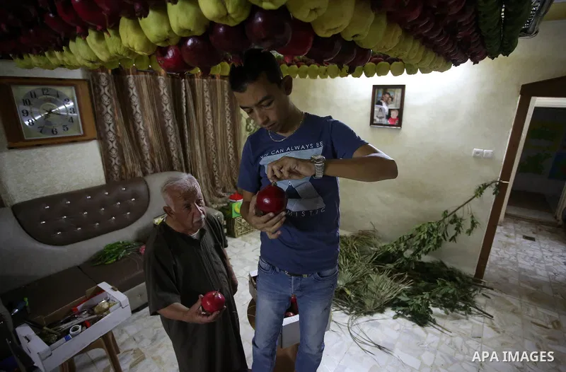 A member of the Samaritan sect decorates a traditional hut known as a sukkot with fruits and vegetables on Mount Gerizim, on the outskirts of the West Bank city of Nablus, October 2, 2017. A sukkot is a ritual hut used d...