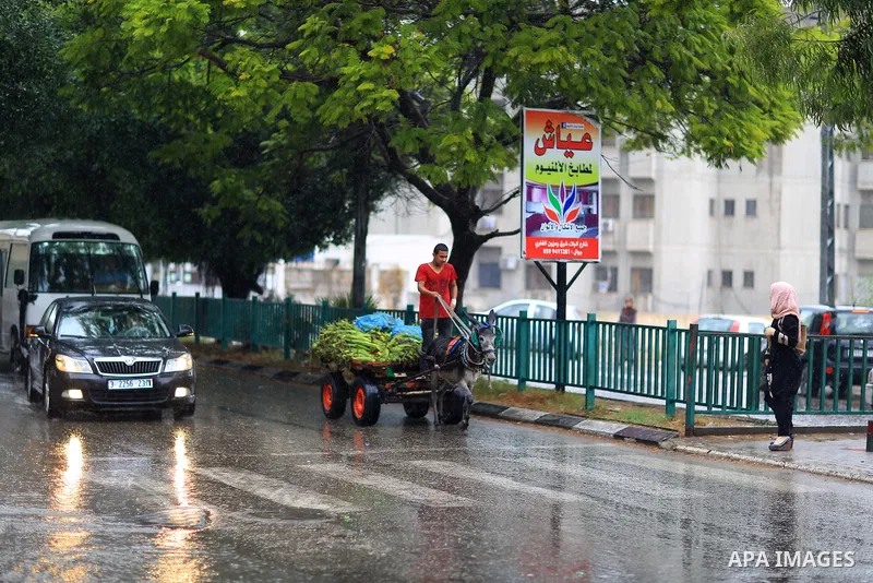 A Palestinian man rides a donkey cart in a street flooded by rain water, in Gaza city on October 9, 2017. Photo by Atia Darwish