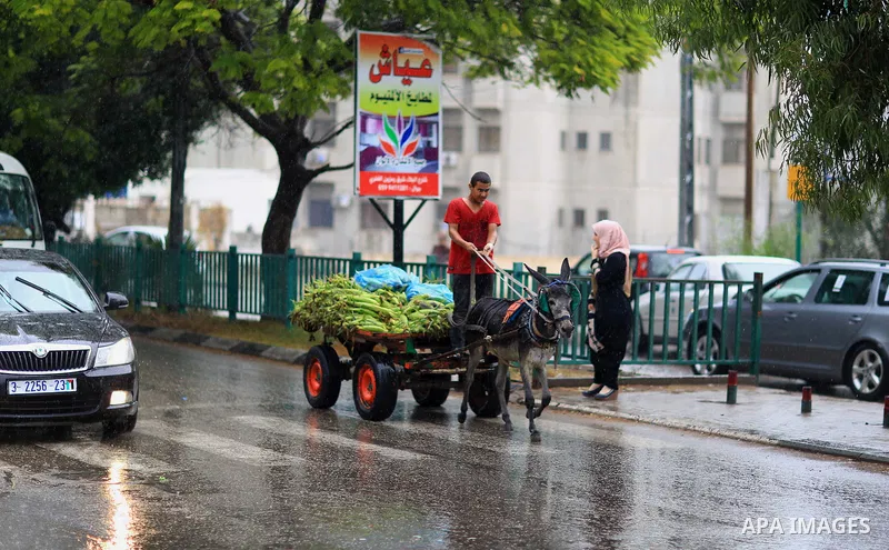 A Palestinian man rides a donkey cart in a street flooded by rain water, in Gaza city on October 9, 2017. Photo by Atia Darwish