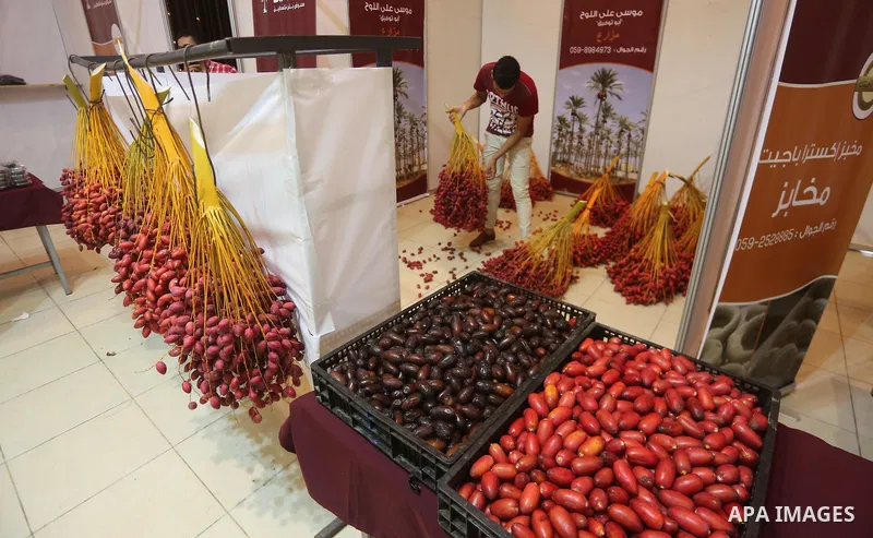 Palestinians attends the opening ceremony for dates exhibition, in Gaza city on October 9, 2017. Photo by Mohammed Asad