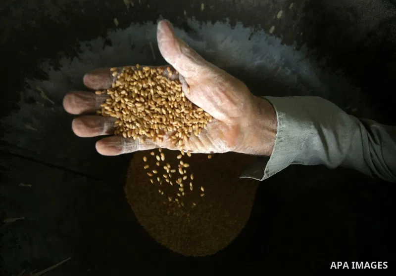 Palestinian laborers work at a Al-Adham old flour mill in the old town of West Bank city of Nablus October 10, 2017. Al-Adham mill Was founded in 1945 and grinds all kinds of grains, such as wheat, beans, chickpeas, on m...
