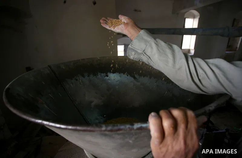 Palestinian laborers work at a Al-Adham old flour mill in the old town of West Bank city of Nablus October 10, 2017. Al-Adham mill Was founded in 1945 and grinds all kinds of grains, such as wheat, beans, chickpeas, on m...