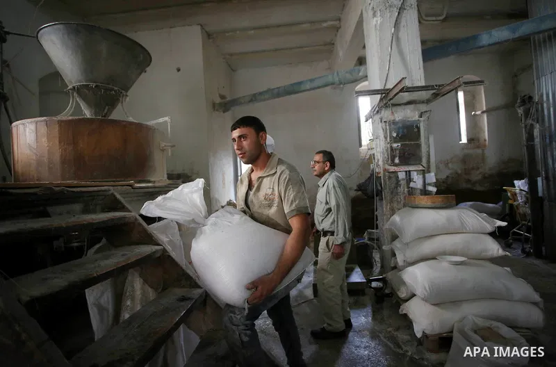 Palestinian laborers work at a Al-Adham old flour mill in the old town of West Bank city of Nablus October 10, 2017. Al-Adham mill Was founded in 1945 and grinds all kinds of grains, such as wheat, beans, chickpeas, on m...