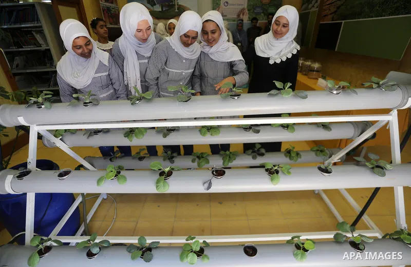 Palestinian students take part in a festival of the Science Days Palestine, at al Qattan Center in Gaza city on October 17, 2017. Photo by Mohammed Asad