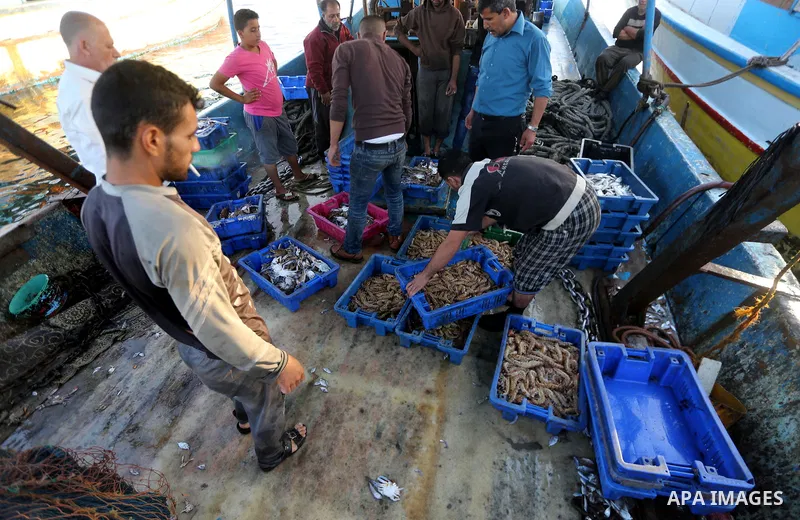 Palestinian fishermen prepare fish for sale in Gaza seaport, on October 19, 2017 after fishermen will be allowed by Israel to travel up to nine nautical miles. Israeli officials have announced they will temporarily expan...
