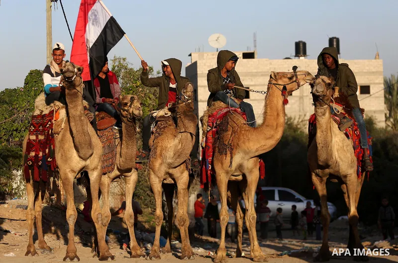 Palestinians ride camels during a meeting between heads of Palestinian families and a delegation from Egypt’s General Intelligence in Gaza city on December 1, 2017. Photo by Mohammed Asad
