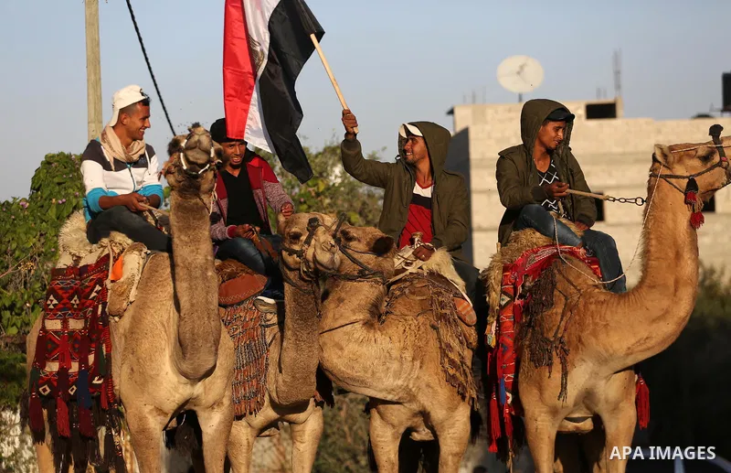 Palestinians ride camels during a meeting between heads of Palestinian families and a delegation from Egypt’s General Intelligence in Gaza city on December 1, 2017. Photo by Mohammed Asad