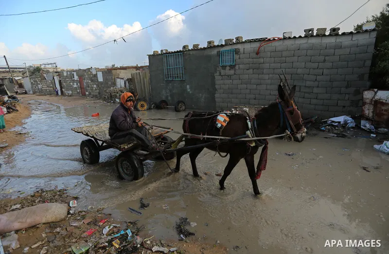 A Palestinian man rides a horse cart in Khan Younis in the southern Gaza Strip January 15, 2018. Photo by Ashraf Amra