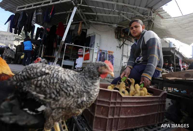 Palestinians shop at a market in Gaza city on January 23, 2018. A general commercial strike has hit the Gaza Strip to protest over worsening economic conditions and the decade-long Israeli blockade, amid warnings of an i...
