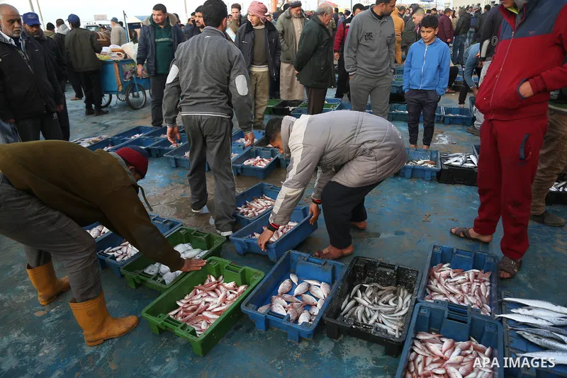 Palestinian fishermen collect fish from nets at Gaza seaport on January 25, 2018. Photo by Ashraf Amra