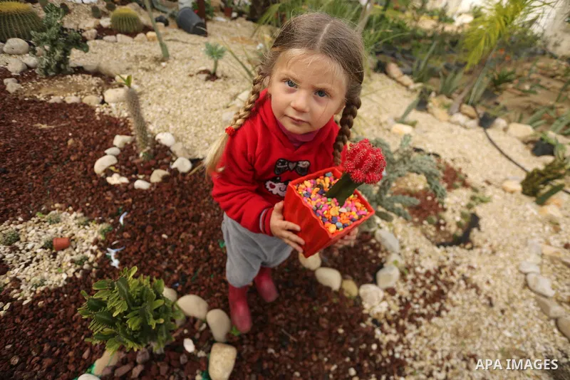 A Palestinian girl holds a tray of miniature cacti at the nursery in Jabalia in the northern Gaza Strip on January 25, 2018. Photo by Mohammed Asad