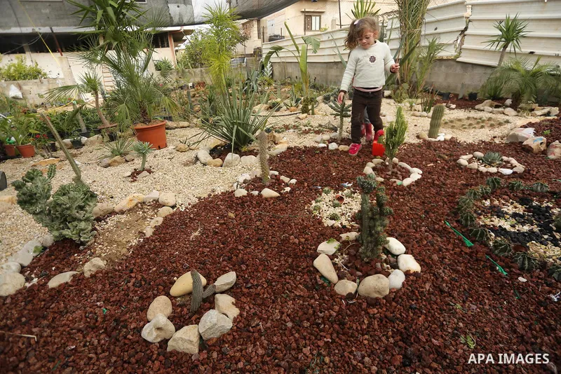 A Palestinian girl looks on the miniature cacti at the nursery in Jabalia in the northern Gaza Strip on January 25, 2018. Photo by Mohammed Asad