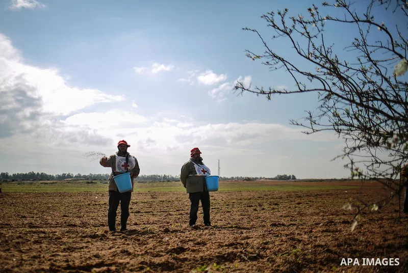 Palestinian farmers, who thier farms near the Israeli border, throw wheat seeds during a tour by the International Committee of the Red Cross (ICRC), near the border with Israel, in Rafah in the southern Gaza Strip Janua...