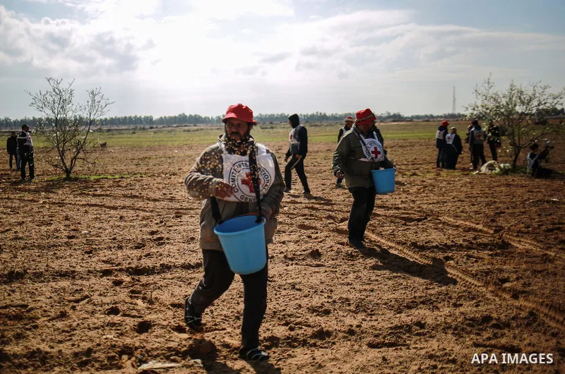 Palestinian farmers, who thier farms near the Israeli border, throw wheat seeds during a tour by the International Committee of the Red Cross (ICRC), near the border with Israel, in Rafah in the southern Gaza Strip Janua...