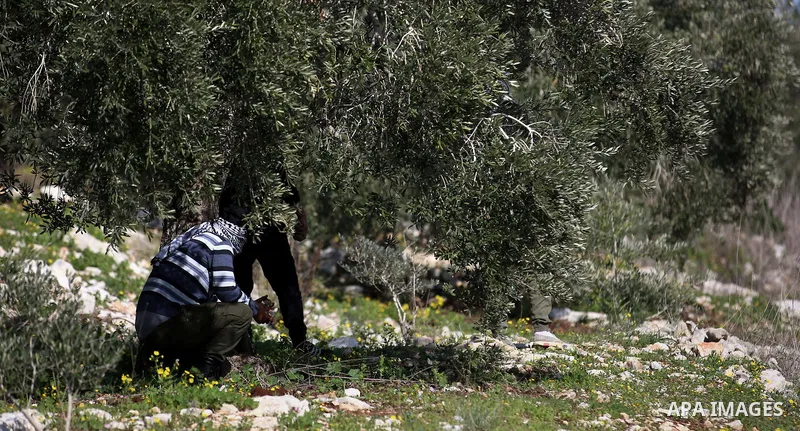 Palestinian protesters hurl stones towards Israeli security forces during clashes following a weekly demonstration against the expropriation of Palestinian land by Israel in the village of Kfar Qaddum, near Nablus, in th...