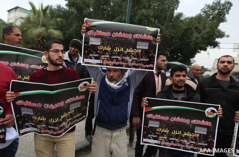 Palestinian graduates hold placards during a protest to demand their rights, in Gaza city on February 8, 2018. Photo by Ramadan El-agha
