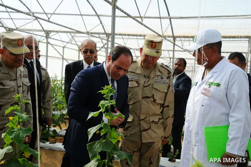 Egyptian President Abdel Fattah al-Sisi attends the inauguration of an agricultural project at Mohamed Naguib military base in al-Hammam region, about 90 kilometres west of Egypt's second city of Alexandria on February 8...