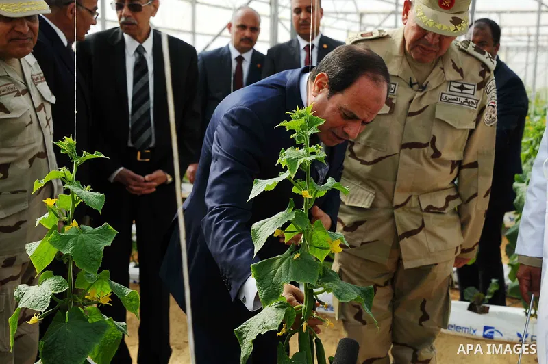 Egyptian President Abdel Fattah al-Sisi attends the inauguration of an agricultural project at Mohamed Naguib military base in al-Hammam region, about 90 kilometres west of Egypt's second city of Alexandria on February 8...