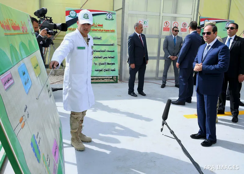 Egyptian President Abdel Fattah al-Sisi attends the inauguration of an agricultural project at Mohamed Naguib military base in al-Hammam region, about 90 kilometres west of Egypt's second city of Alexandria on February 8...