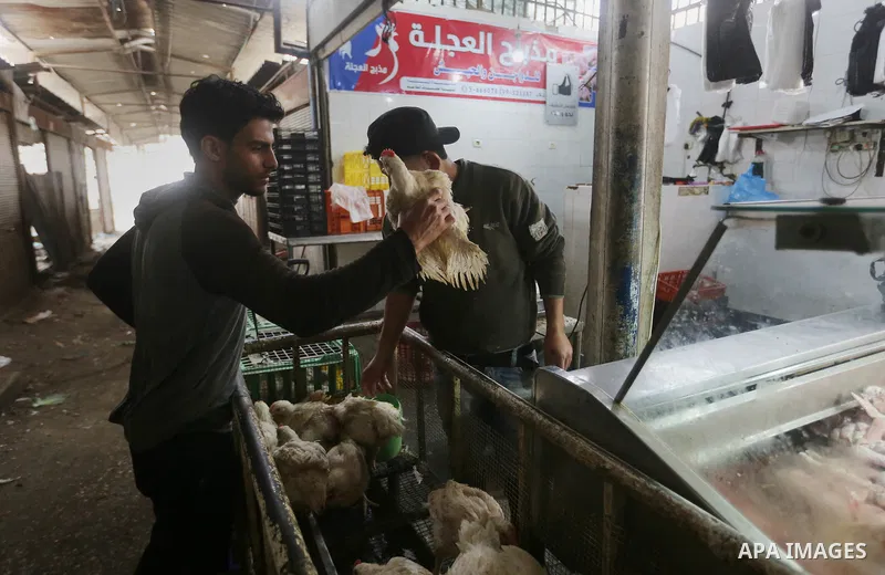 A Palestinian vendor carries a chicken at a market in Gaza city on February 8, 2018. Last two days, chicken prices in Gaza strip soared to a record high, to reach to 5$ per 1 Kg. The ongoing economic crisis in the Gaza S...