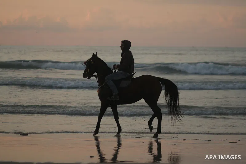 A man takes a tour with his horse at a beach during sunset. Photo by Sanad Ltefa