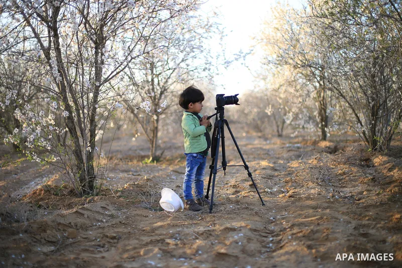 A little photographer. Photo by Sanad Ltefa