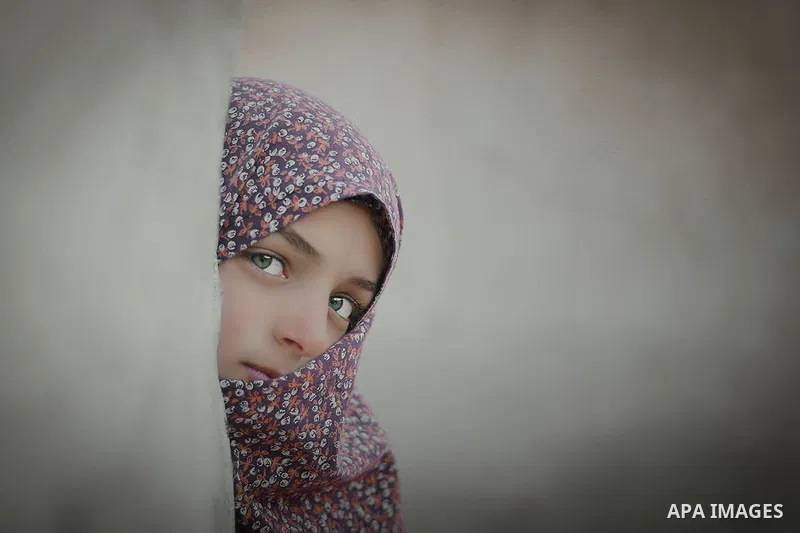 Green eyes spy to the camera. Photo by Sanad Ltefa
