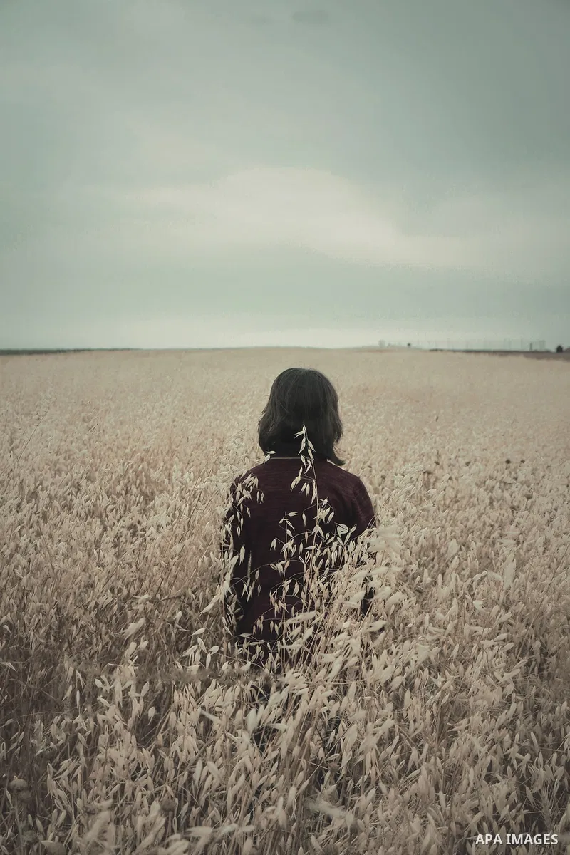 A girl stands in a wheat field. Photo by Sanad Ltefa